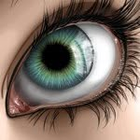 Picture of the business