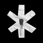 Picture of the business