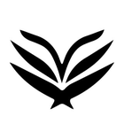 Picture of the business