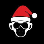 Picture of the business